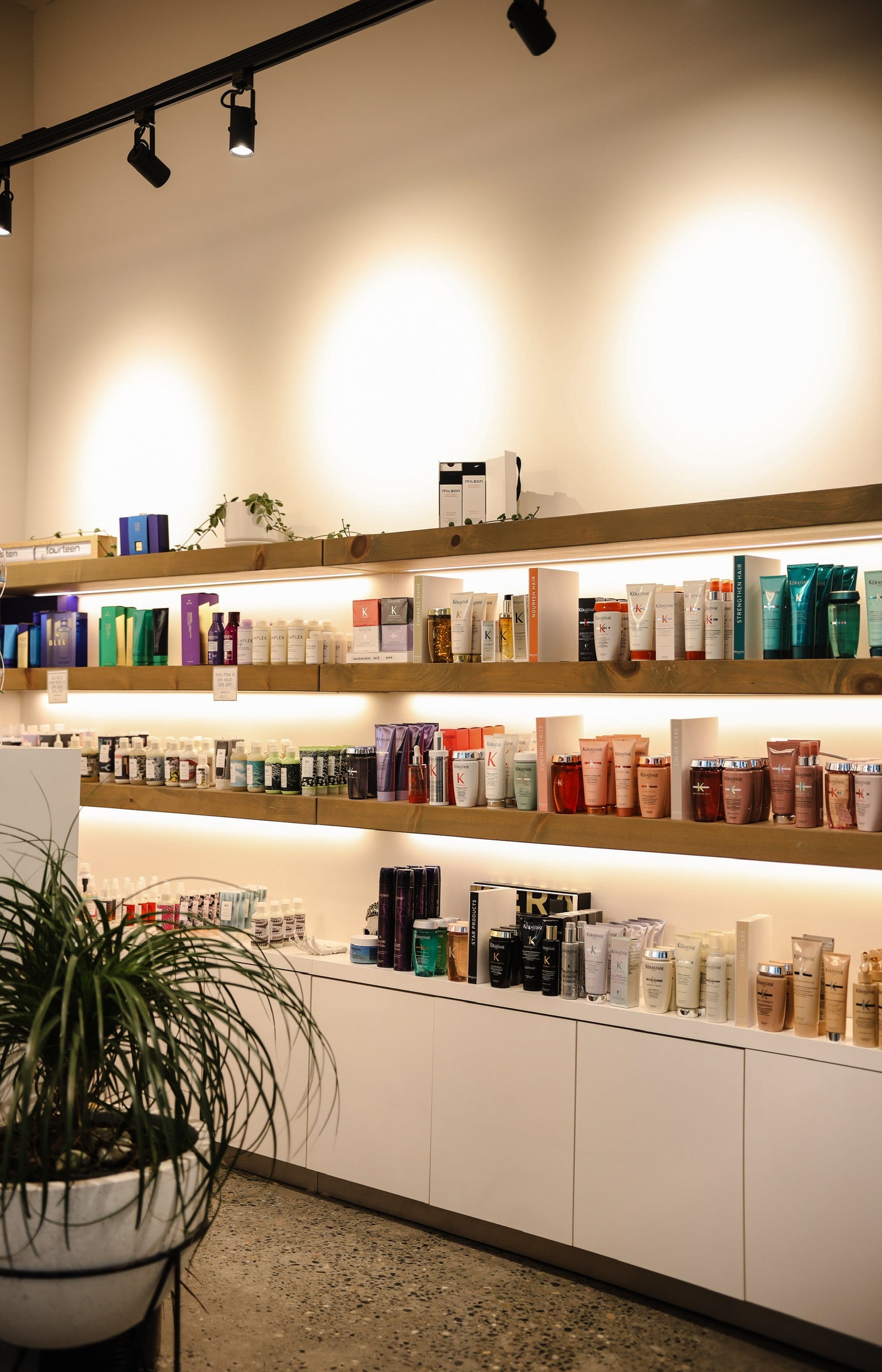 Milbon, Redken, Kerastase products, Bellevue Salon
