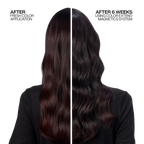 Color Extend Magnetics Sulfate-Free Shampoo