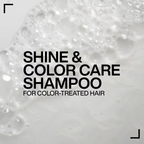 Acidic Color Gloss Sulfate Free Shampoo