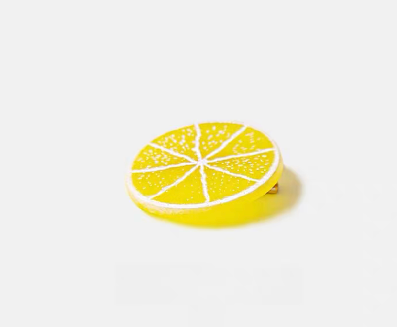 Citrus Slice Hair Clips
