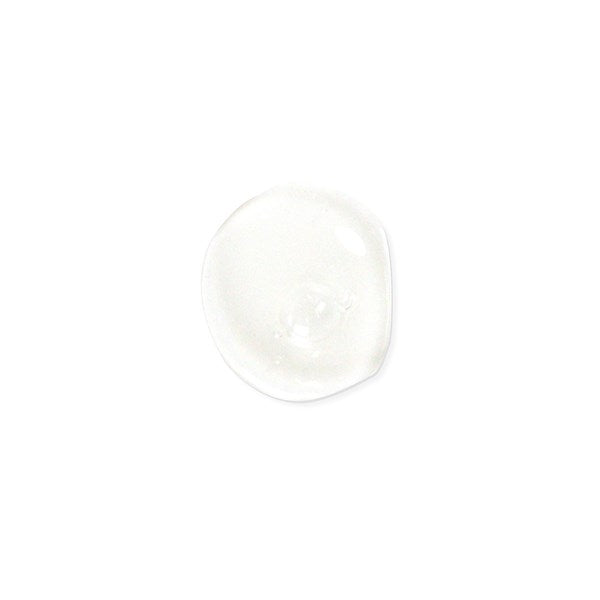 Anti Frizz Defrizzing Shampoo