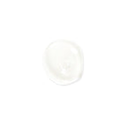 Anti Frizz Defrizzing Shampoo