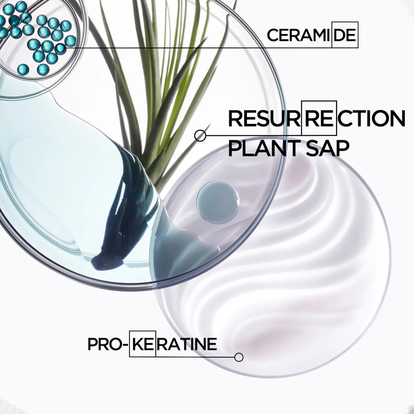 Resistance Strengthening Conditioner for Damaged Hair from Heat Styling